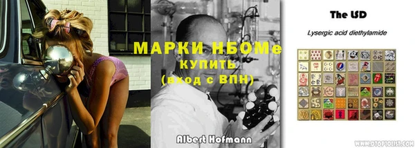 прущие грибы Алексин